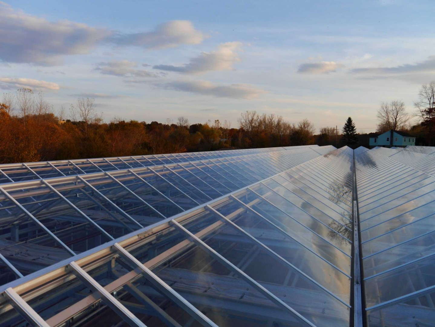 Behind The New Greenhouse Projects At Van de Wetering And Kurtz Farms