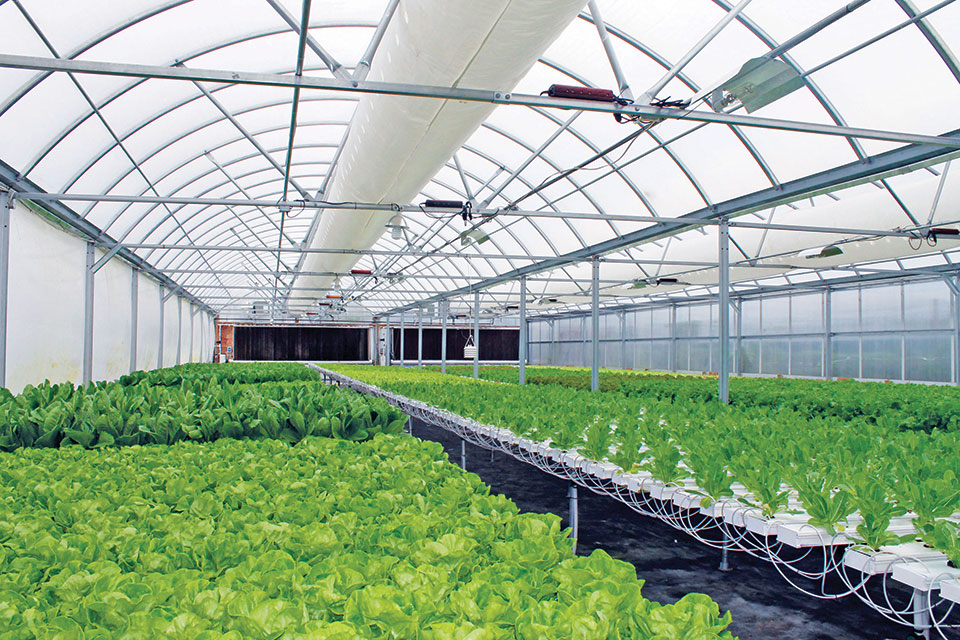 Growers Supply Hosting Controlled Environment Agriculture ...