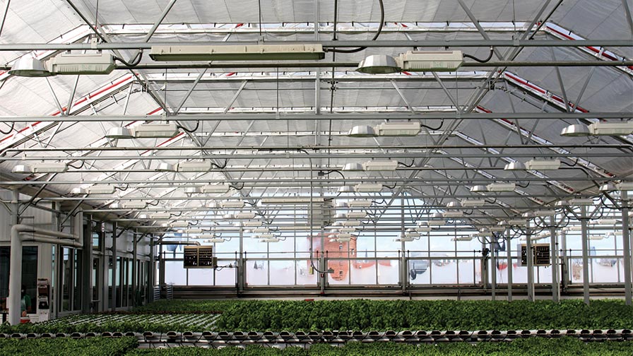 Gotham-Greens-Atrium-Style-Greenhouse-Ch