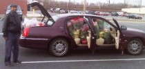 How Many Poinsettias Can You Fit In A Car?