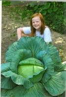 Bonnie's Cabbage Contest Grows Gardeners