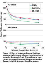 Retaining Water For Healthy Plants