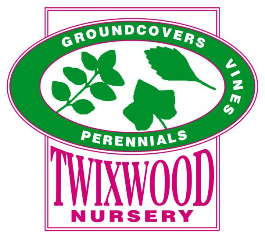 Twixwood Nursery LLC