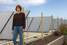 Blooming Nursery Is Saving With Solar