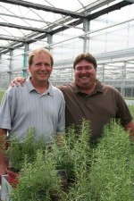 Elzinga & Hoeksema Greenhouses