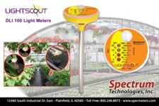 An Affordable Light Intensity Meter