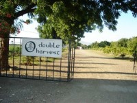 Double Harvest Provides Lifeline In Haiti