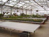 Outfitting Your Greenhouse