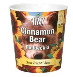 A Compact Rudbeckia:Â 'Cinnamon Bear'