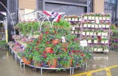 Bell Nursery Gets Creative With Home Depot