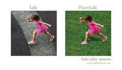 Life. Plant Life.