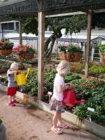 Kids Watering Flowers