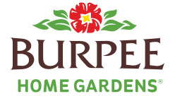 Burpee Logo