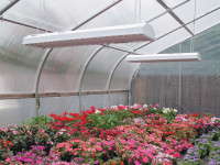 LED lighting from Growers Supply