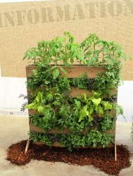 Burpee Home Gardens used an old pallet to create a great vertical garden display..