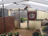 An open door within a few feet of your fan hinders its ability to cool the greenhouse.