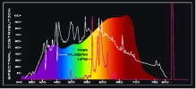 This spectral response graph demonstrates that Solar Genesis Plasma Lighting produces more full-spectrum nutritional light-energy within PAR (the spectrum of light plants utilize for healthy plant growth) in comparison to the partial spectrum of light produced by High Pressure Sodium.