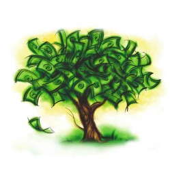 money tree, money doesnt grow on trees