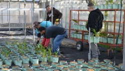 At Willoway Nurseries, robots will take over the task of spacing pots, which means workers won't have to do it by hand.