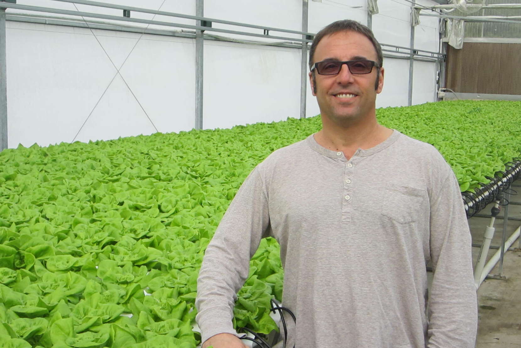 Bella Verdi Farms Focuses On Efficient Greenhouse Vegetable Production ...