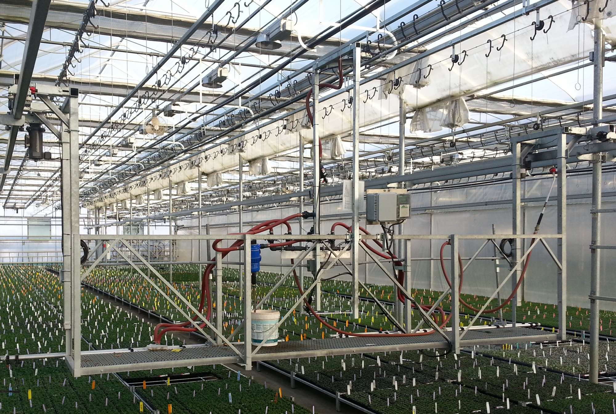 Common Objections To Mechanization In The Greenhouse - Greenhouse Grower