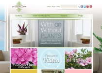 Delray Plants Launches New Website