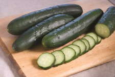 'Corinto' cucumber is a parthenocarpic cucumber that doesn't require pollination.