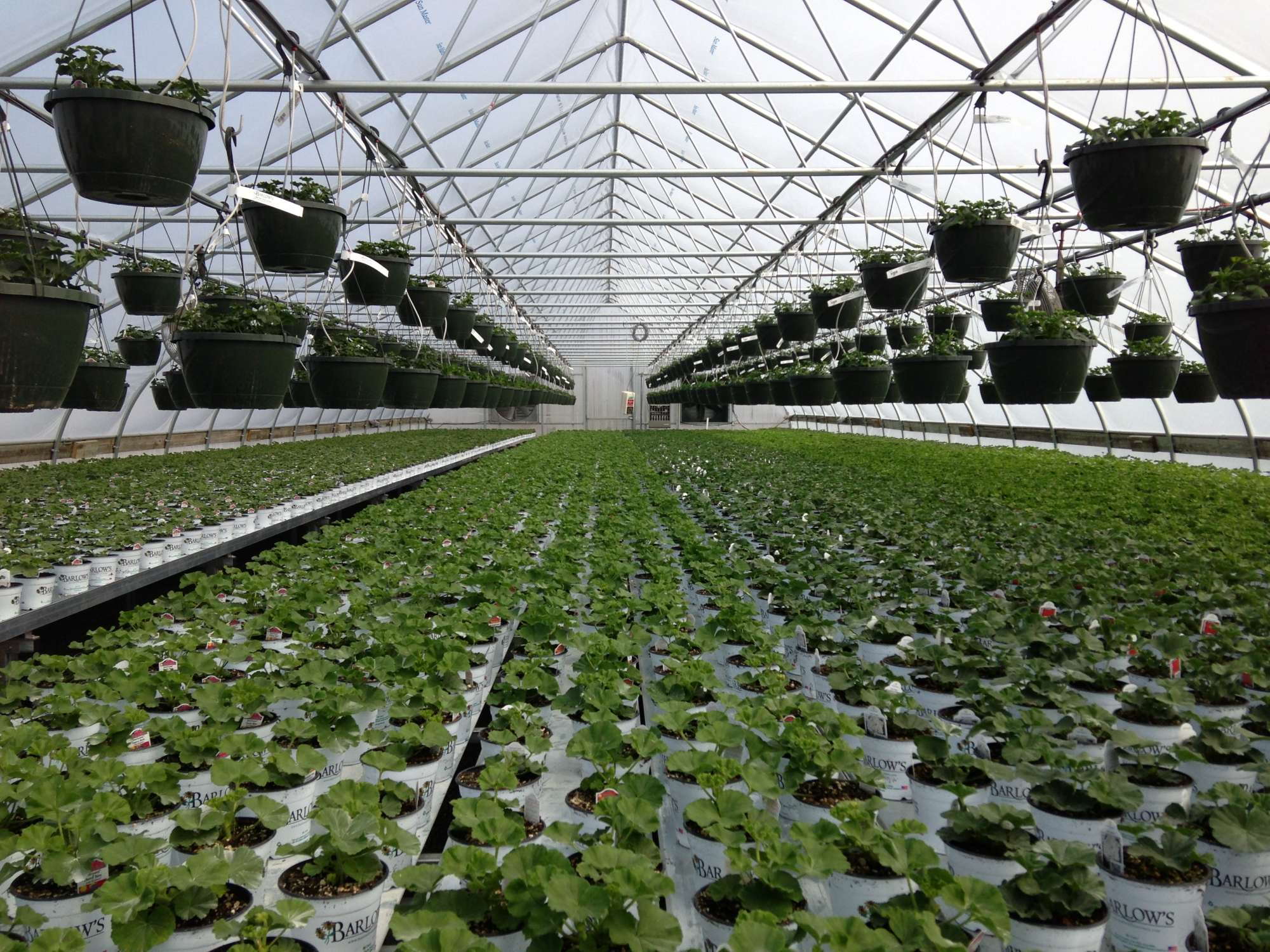 some-of-the-best-greenhouses-to-visit-in-united-kingdom-techstory