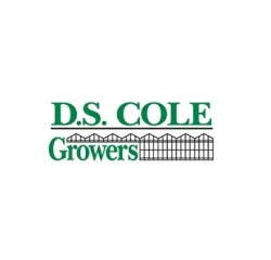 DS Cole logo