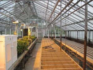 Outdated greenhouses could be costing you money in the form of wasted energy caused by air leaks and old or malfunctioning heating units.