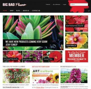 BigBadFlower.com sells a selection of unique plants and products. 