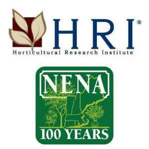 HRI-and-Nena