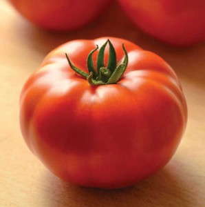 Tomato-Genuwine-PanAmericanSeed