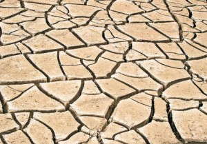 drought_cracked earth
