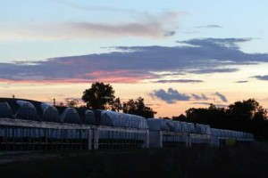 Milton Greenhouses 9-2014 ECG