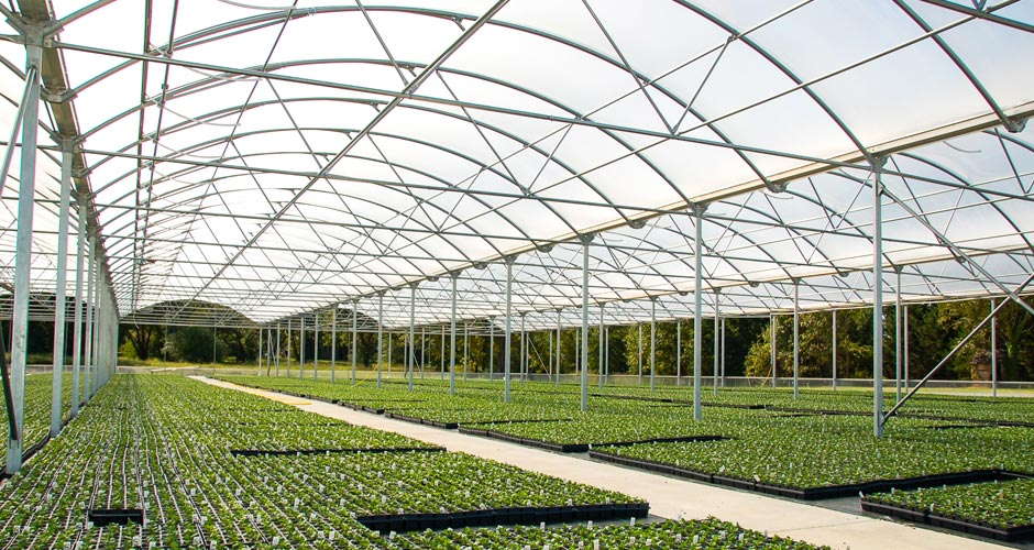 Stuppy Greenhouse Manufacturing's Rainbow Super Structure