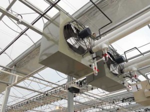 Growers are looking for low-cost options for temperature control, like circulating fans and exhaust fans.