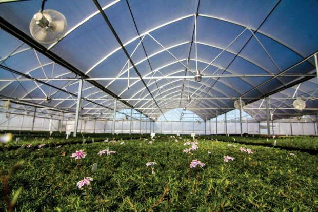 Emerald Coast Grower's Atlas Greenhouse