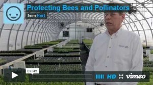 protecting bees and pollinators video