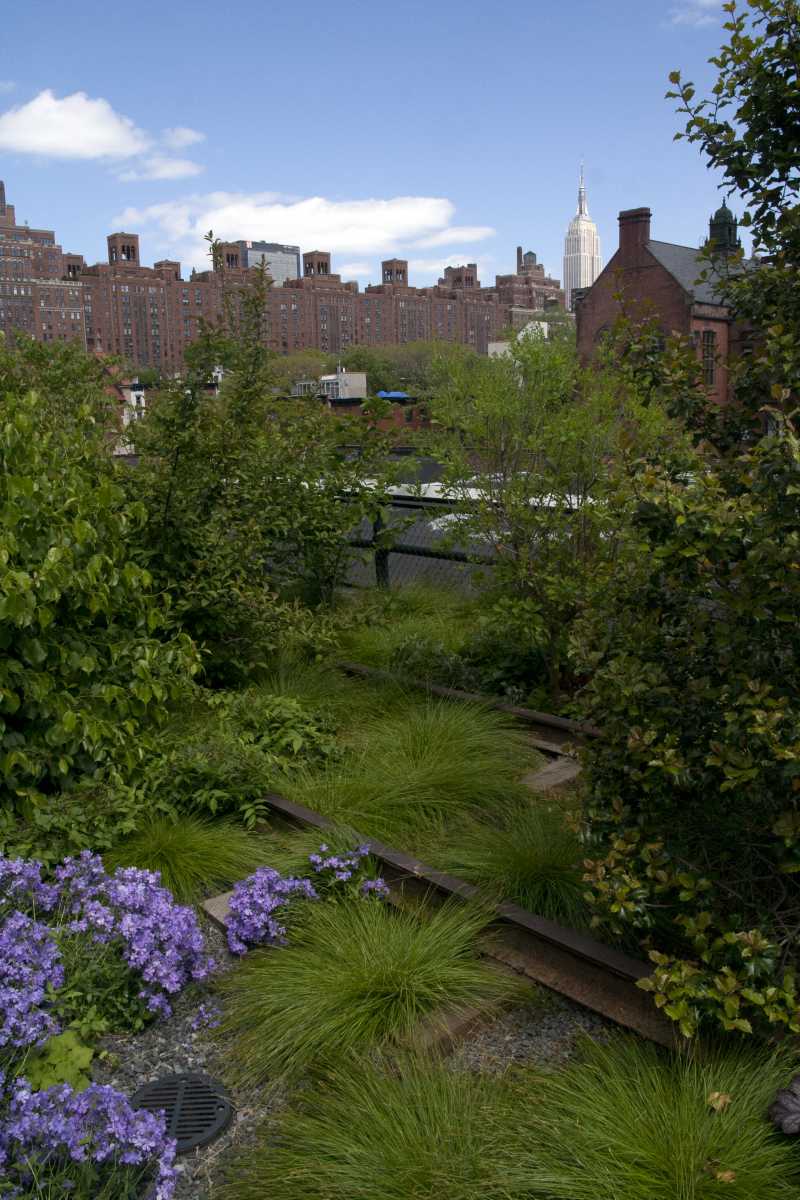 The High Line in New York blends 210 species of perennials, grasses, shrubs and trees in a primarily native, low-maintenance landscape. Image courtesy of Lucas Nebuloni/Flickr.