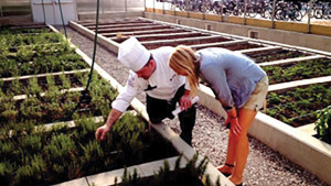 Michigan State University’s Bailey GREENhouse Sells Produce And Tea To Campus Dining Facilities