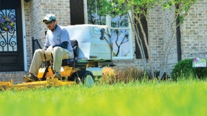 More and more people are employing a landscape service, but that doesn’t mean they don’t still garden