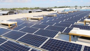 Costa Farms’ new solar panels will offset 493,487 pounds of carbon dioxide annually