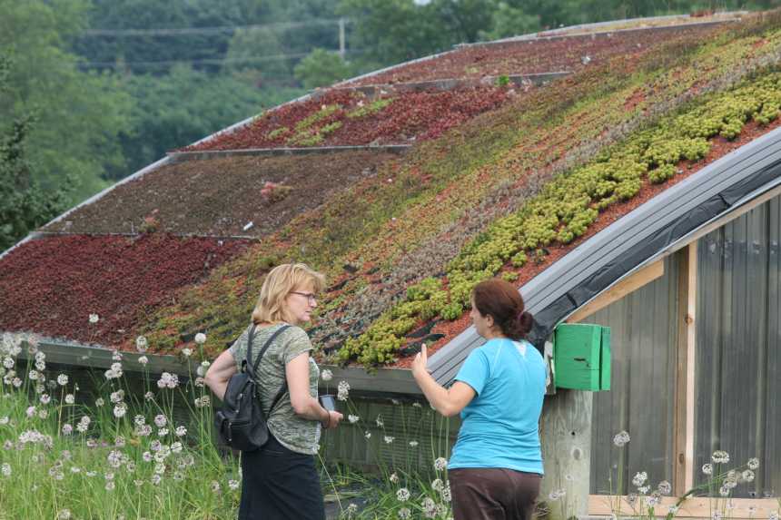 Green Roof At Emory Knoll Farms