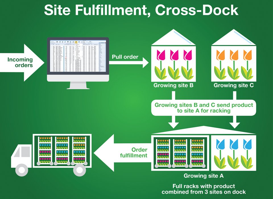 With SBI Software’s site fulfillment software, growers can choose to cross dock, meaning racks are built for a single order at multiple sites and are cross-docked without any re-assembly