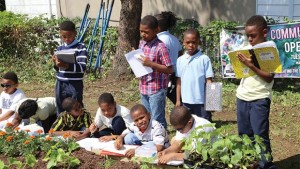 Bell Nursery reaches out by supporting projects that help children connect with plants