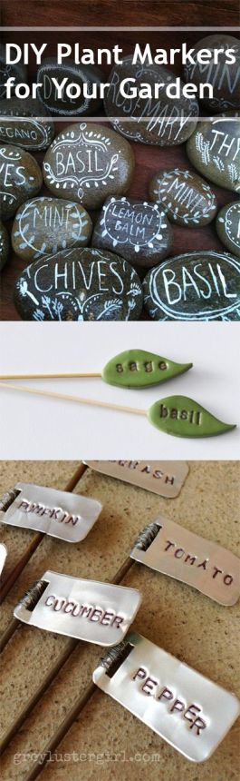 DIY Plant Markers For Your Garden Pinterest pin