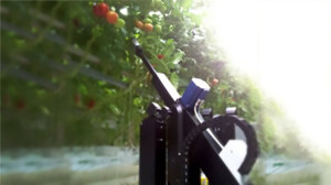Priva Tomato Deleafing Robot