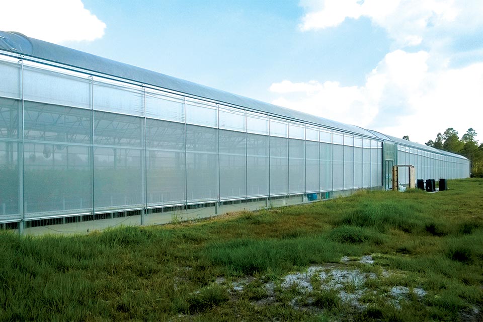 New greenhouse construction biofilm