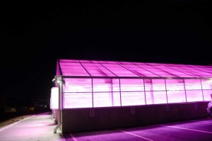 CSU Greenhouse - Night shot